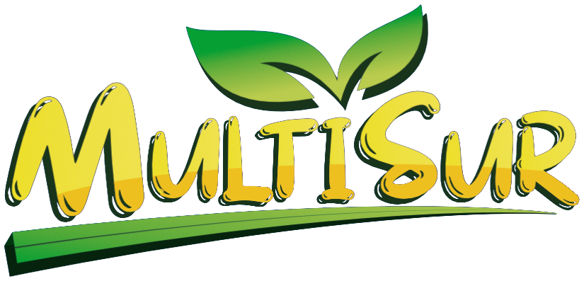 Multisur Market, frutería y verdulería en Valdivia